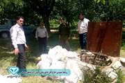 عجبشیر: معدوم‌سازی 300 کیلوگرم فرآورده خام دامی غیربهداشتی