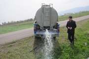 کشف و معدوم سازی حدود 500 کیلوگرم شیرخام غیربهداشتی در شهرستان سراب