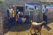 برگزاری اردوی جهادی دامپزشکی با هدف محرومیت زدایی در مناطق صعب العبور و محروم شهرستان هوراند