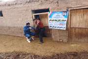 ویزیت و واکسیناسیون رایگان دام و طیور به مناسبت ایام دهه مبارک فجر در شهرستان ملکان