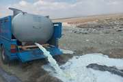 کشف و معدوم سازی 2200 کیلو گرم شیر خام غیربهداشتی در شهرستان ملکان