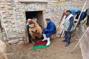 برگزاری اردوی جهاد دامپزشکی در منطقه محروم و عشایر نشین لاله قبا در راستای خدمات رسانی و محرومیت زدایی در شهرستان سراب