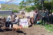 برگزاری اردوی جهادی دامپزشکی در روستای صومعه شهرستان خداآفرین