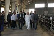 بازدید معاون وزیر و رئیس سازمان دامپزشکی کشور از بخش های مختلف مجموعه کشت و صنعت آذربایجان خاوری شهرستان شبستر