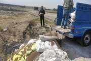 کشف، ضبط و معدوم سازی 7 تن مواد و افزودنی های غیرمجاز خوراک دام در تبریز