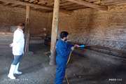 برگزاری اردوی جهادی و ارائه خدمات رایگان دامپزشکی در روستای حیدرآباد شهرستان شبستر