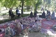 برگزاری کلاس ترویجی بهداشت شیر در روستاهای نوجه ده بهشتی و محمود آباد شهرستان كلیبر 
