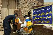 گزارش تصویری از اقدامات دامپزشکی در روستاهای سیل زده عجبشیر