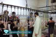 دامپزشکی مراغه: عملکرد اداره دامپزشکی شهرستان مراغه در سال 1396