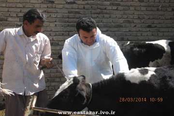 عملکرد اداره دامپزشکی شهرستان ملکان به روایت تصویر