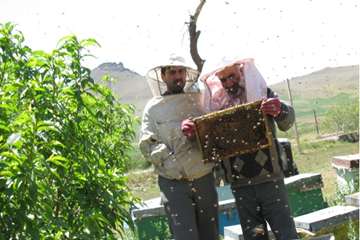 عملكرد شبكه دامپزشكي شهرستان عجب شير به روايت تصوير