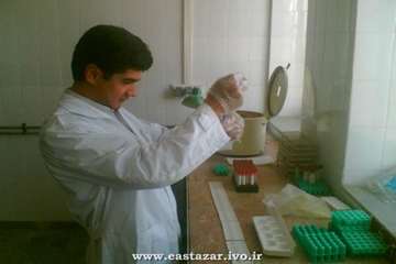 عملکرد اداره دامپزشکی شهرستان ملکان به روایت تصویر