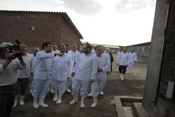 عملكرد شبكه دامپزشكي شهرستان بناب به روايت تصوير