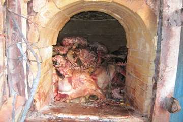 عملكرد شبكه دامپزشكي شهرستان بناب به روايت تصوير