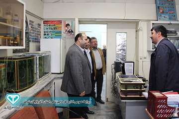 دید و بازدید نوروزی سال97