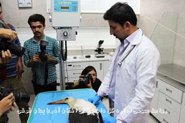 گزارش تصویری تور عکاسی جشنواره بیطار