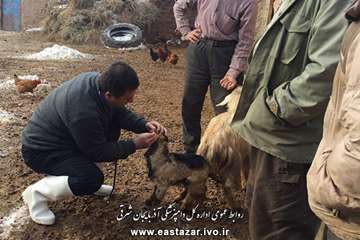 گزارش تصویری ویزیت و معاینه رایگان به مناسبت دهه فجر در شهرستانهای استان آذربایجان شرقی