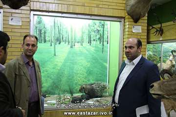 گزارش تصویری بازدید مدیر کل دامپزشکی استان از موزه حیات طبیعی