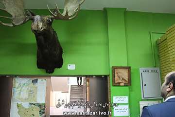 گزارش تصویری بازدید مدیر کل دامپزشکی استان از موزه حیات طبیعی