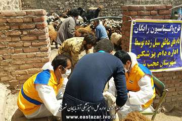 گزارش تصویری از اقدامات دامپزشکی در روستاهای سیل زده عجبشیر
