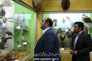 گزارش تصویری بازدید مدیر کل دامپزشکی استان از موزه حیات طبیعی