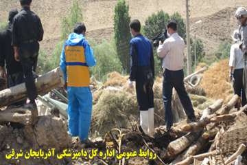 دفن بهداشتي لاشه هاي دامهاي تلف شده در زلزله آذربايجان شرقي