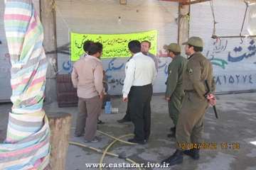 عملکرد اداره دامپزشکی شهرستان ملکان به روایت تصویر