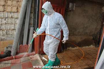 گزارش تصویری مانور پدافند غیر عامل برای مقابله با بیماری آنفلوانزای فوق حاد پرندگان