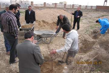 عملكرد شبكه دامپزشكي شهرستان ملكان به روايت تصوير