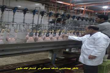 عملكرد شبكه دامپزشكي شهرستان اهر به روايت تصوير