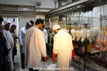 گزارش تصویری بازدید حضرت حجت الاسلام و المسلمین حاج آقا کلانتری؛مسئول حوزه نمایندگی ولی فقیه سازمان 