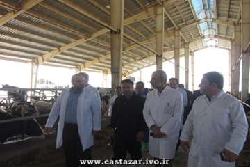 گزارش تصویری بازدید ریاست محترم سازمان دامپزشکی کشور ازمجتمع کشت وصنعت خاوران