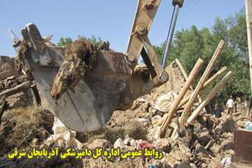 دفن بهداشتي لاشه هاي دامهاي تلف شده در زلزله آذربايجان شرقي