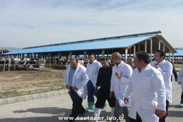 گزارش تصویری بازدید ریاست محترم سازمان دامپزشکی کشور ازمجتمع کشت وصنعت خاوران