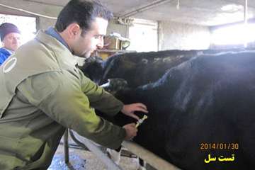 عملكرد شبكه دامپزشكي شهرستان اهر به روايت تصوير