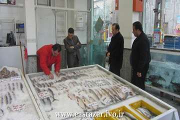 گزارش تصویری بازدید دکتر زندیه مدیرکل دامپزشکی استان آذربایجانشرقی از مراکز عرضه فرآورده های خام دام