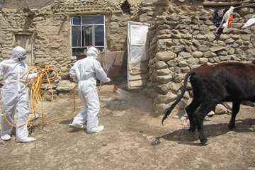 عملكرد شبكه دامپزشكي شهرستان تبريز به روايت تصوير