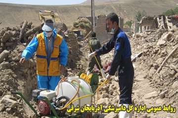 دفن بهداشتي لاشه هاي دامهاي تلف شده در زلزله آذربايجان شرقي