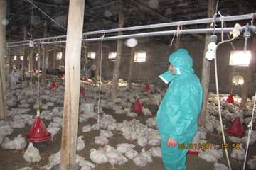 عملكرد شبكه دامپزشكي شهرستان ملكان به روايت تصوير