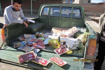 عملكرد شبكه دامپزشكي شهرستان ملكان به روايت تصوير