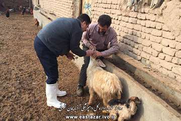 گزارش تصویری ویزیت و معاینه رایگان به مناسبت دهه فجر در شهرستانهای استان آذربایجان شرقی