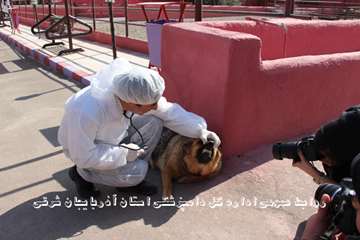 گزارش تصویری تور عکاسی جشنواره بیطار