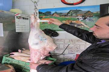 عملكرد شبكه دامپزشكي شهرستان عجب شير به روايت تصوير