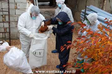 گزارش تصویری مانور پدافند غیر عامل برای مقابله با بیماری آنفلوانزای فوق حاد پرندگان