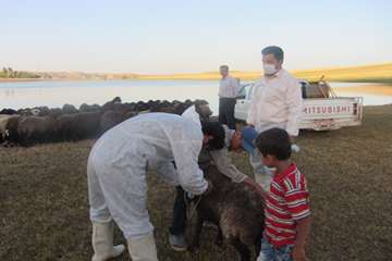 عملكرد شبكه دامپزشكي شهرستان هشترود به روايت تصوير