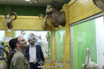گزارش تصویری بازدید مدیر کل دامپزشکی استان از موزه حیات طبیعی