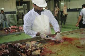 عملكرد شبكه دامپزشكي شهرستان تبريز به روايت تصوير