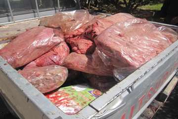 عملكرد شبكه دامپزشكي شهرستان بناب به روايت تصوير