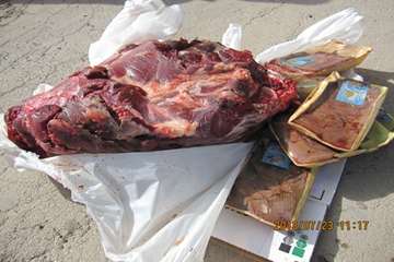 عملكرد شبكه دامپزشكي شهرستان هشترود به روايت تصوير