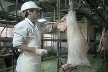 عملكرد شبكه دامپزشكي شهرستان تبريز به روايت تصوير